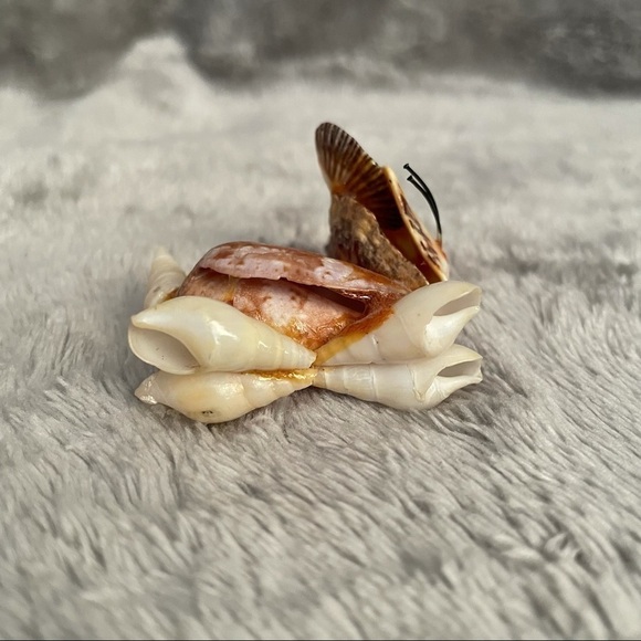 Sea Shell Figurines Set of 3 Mouse, Turtle & Lion - Picture 15 of 16